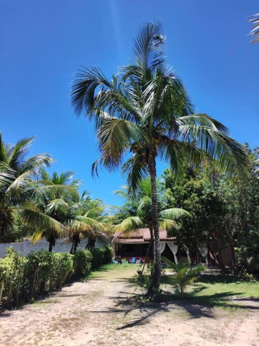 Casa Cumuruxatiba, Natureza E Charme Eksteriør bilde