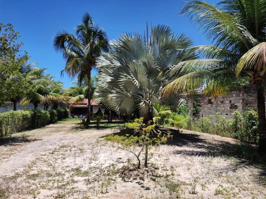 Casa Cumuruxatiba, Natureza E Charme Eksteriør bilde